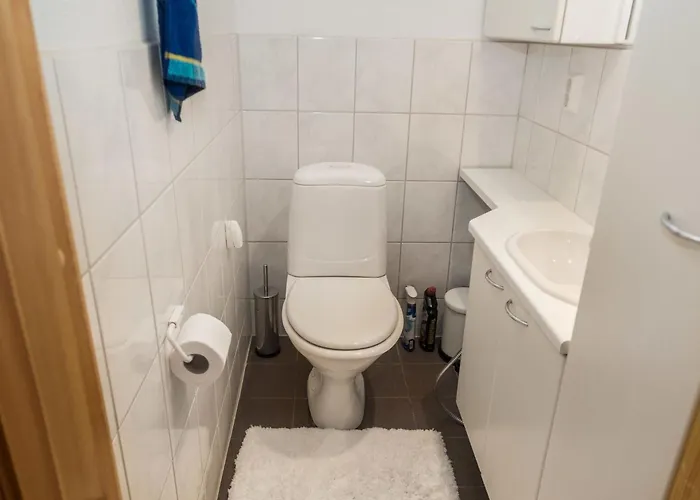 Otsolanhovi B 8 By Interhome Ruka